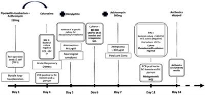 Case Report: About a Case of Hyperammonemia Syndrome Following Lung Transplantation: Could Metagenomic Next-Generation Sequencing Improve the Clinical Management?